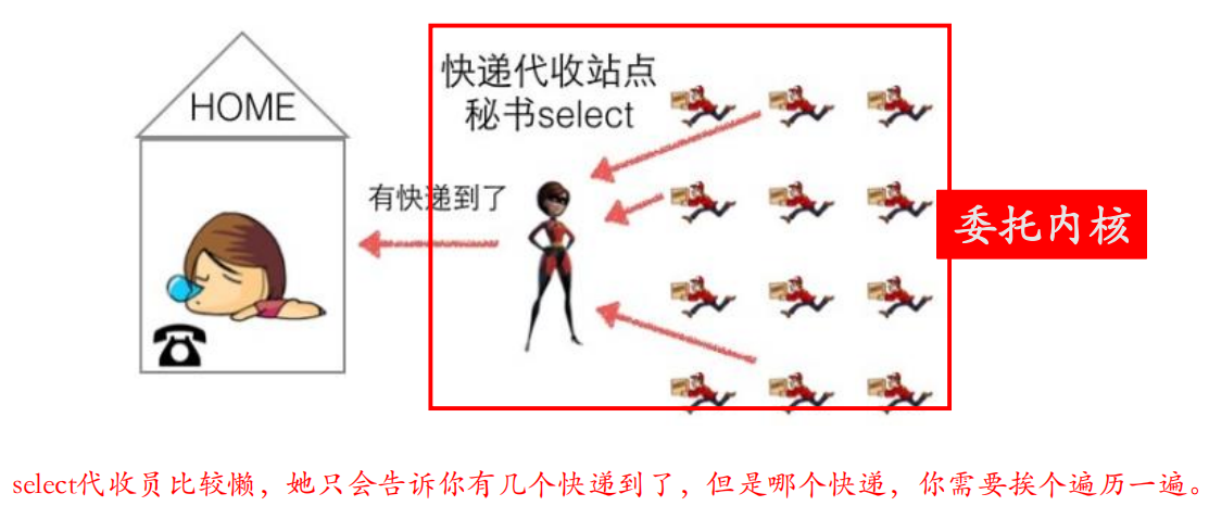 image-20211124125216066